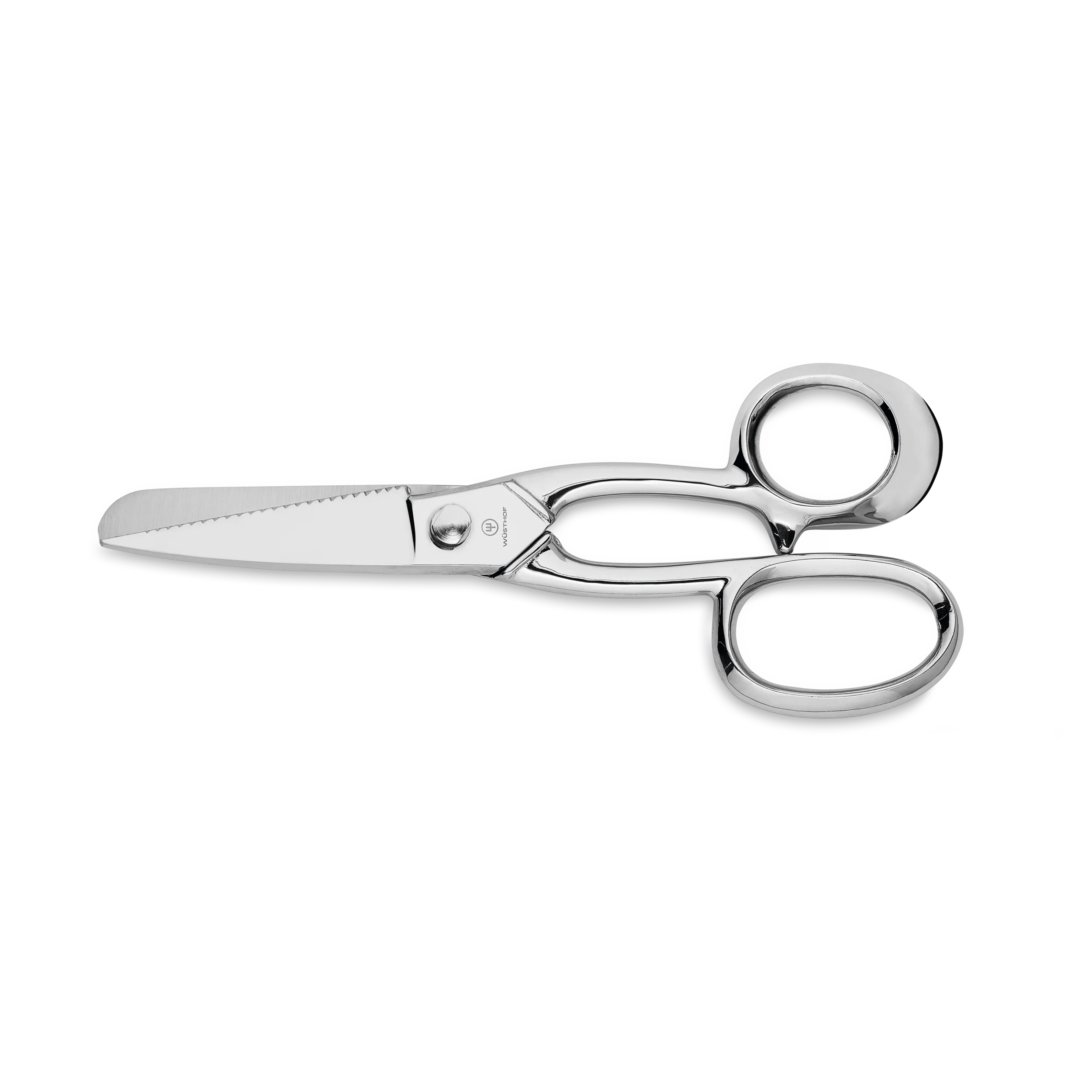 Fischschere 22 cm
