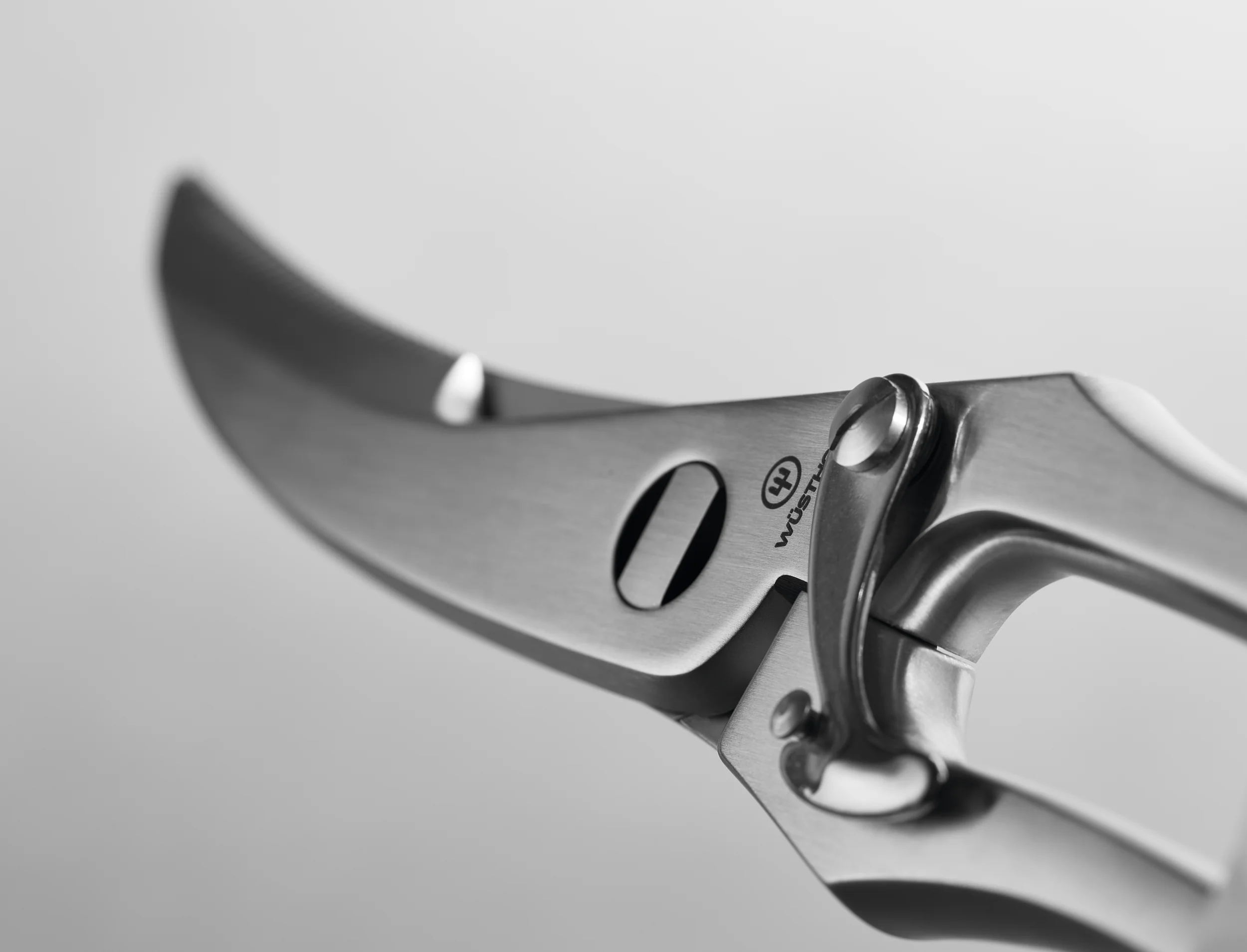 Geflügelschere 25 cm - Image 2