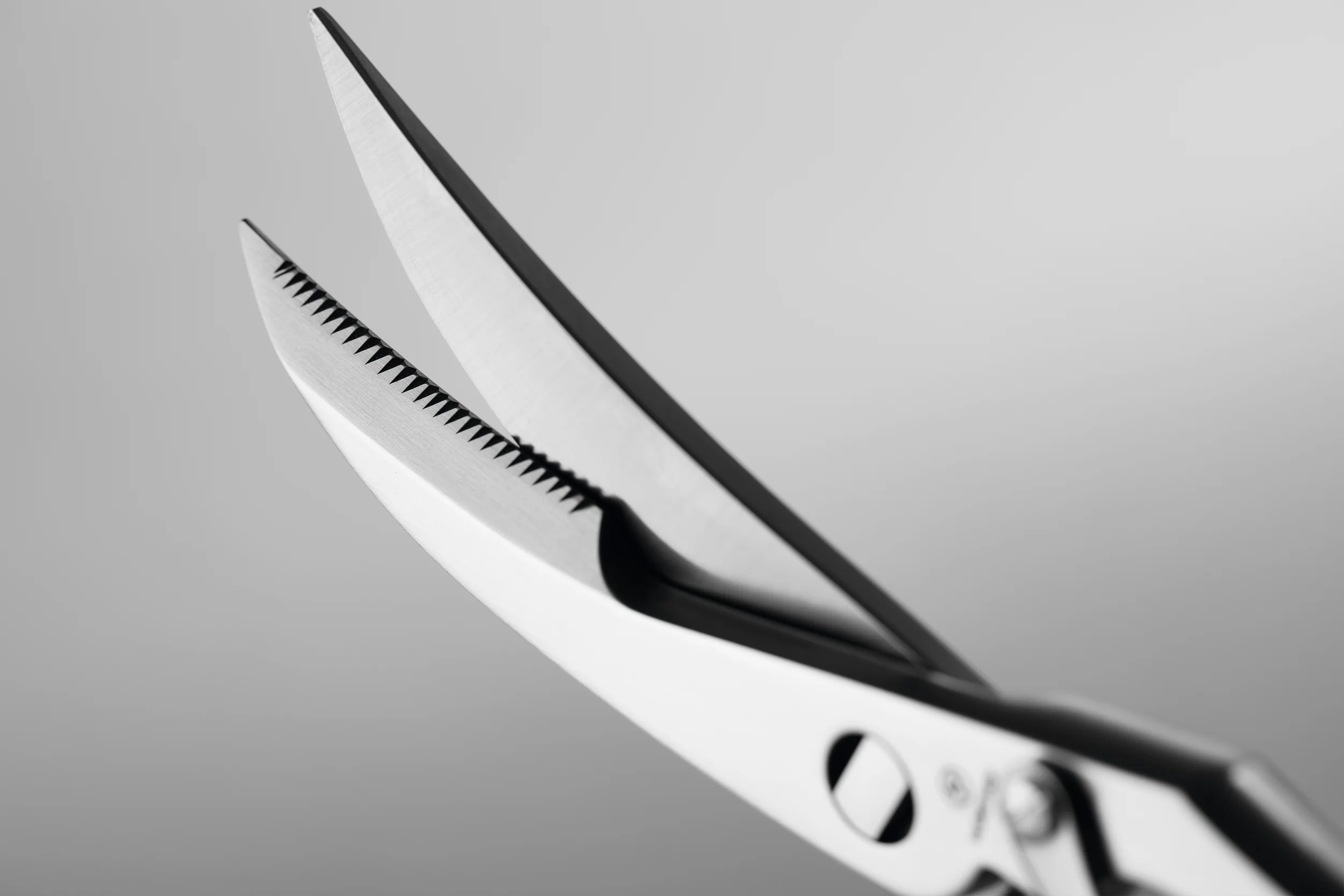 Geflügelschere 25 cm - Image 5