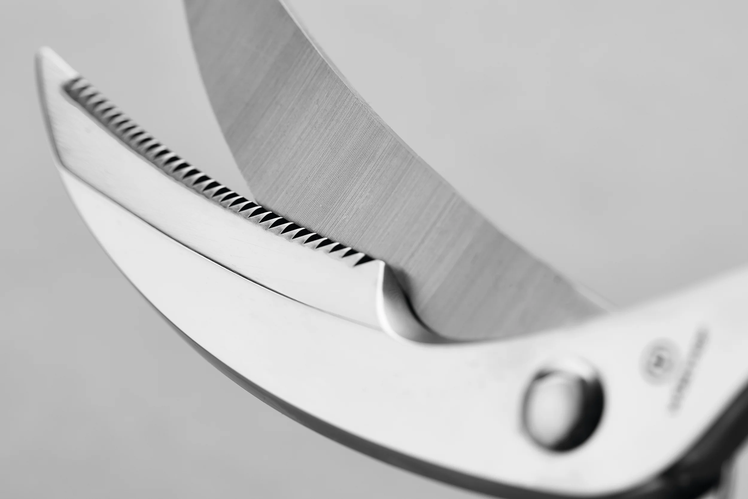 Geflügelschere 25 cm - Image 4